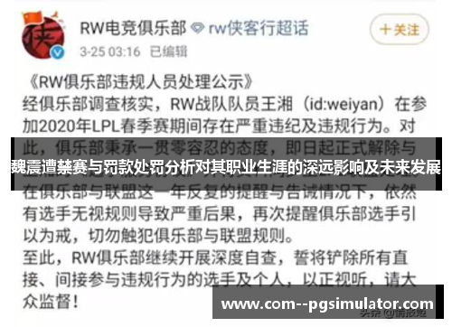 魏震遭禁赛与罚款处罚分析对其职业生涯的深远影响及未来发展