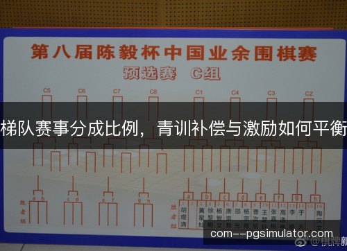 梯队赛事分成比例,青训补偿与激励如何平衡 梯队赛事分成比例,青训补偿与激励如何平衡